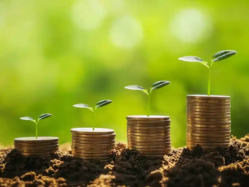 profits chapters